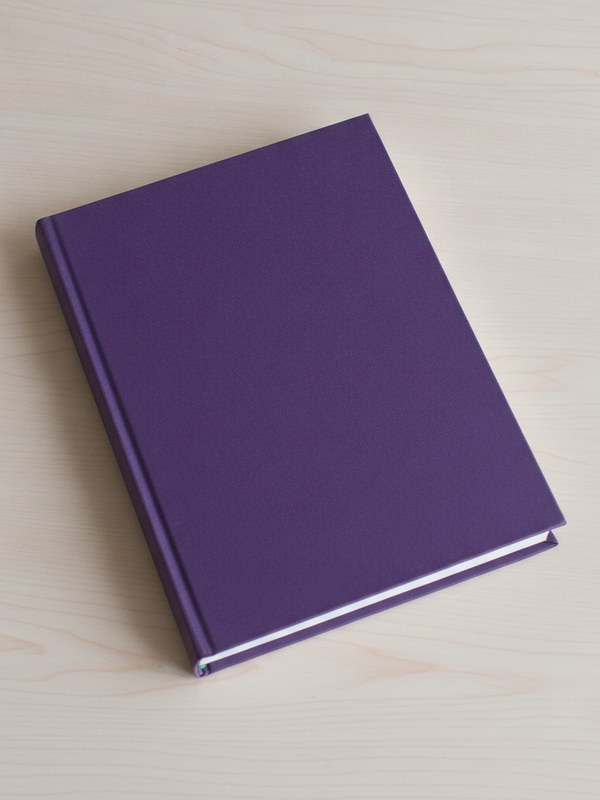 Couverture Le prévisionnel qui tient